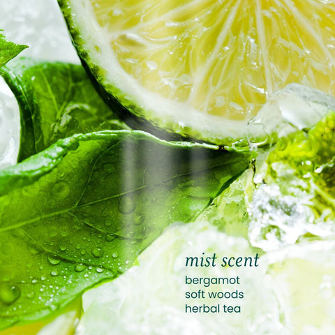 Detox Reset™ Revive & Restore Collection Set
